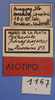 CollectionObject 1496902; 57b8b0a2-3df2-4f4b-84c8-b25cd8d0a860: labels (allotype). (CollectionObject).