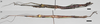 CollectionObject 1583669; 907291f7-237d-46f4-9ced-4a6e85a242b3: copyright HKES. female (holotype) above, male (paratype) below. (CollectionObject).