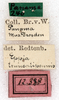 CollectionObject 1573500; NMW 12388, c21ea22f-c26a-45d7-9dd1-2b594a17d87b: labels. (CollectionObject).