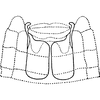 Abdomen, sternal apodemes, ventral view: !! display not done !! on Hebata (Hebata) fabalis (DeLong, 1930): Sternal apodemes. (Observation).