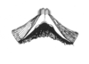Ceuthophilus (Ceuthophilus) utahensis Thomas, 1876: Fig. 791. epiphallus. (Otu).