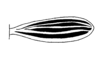 Jumandiacris perlata Amédégnato & Poulain, 1998: Fig. 4. Tegmen. (Otu).