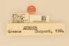 CollectionObject 1516695; 1408e8e2-7f3f-4bde-9280-30db6955233e, NHMUK015982193: labels (holotype). (CollectionObject).