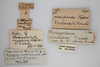 CollectionObject 1863308; 55f39647-e764-498e-a250-e833940b984b: (CollectionObject).