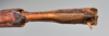 CollectionObject 1561672; NTUC 740, ef545296-ecab-4cdd-9e44-941d03968d60: copyright NTUC. female: end of abdomen, ventral view (holotype). (CollectionObject).