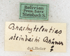 CollectionObject 1567634; b28d56ed-11fb-48fc-b9fa-cdf97da796d9: labels. (CollectionObject).