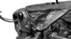 CollectionObject 1477910; 8700d41f-1ab6-4611-bd1d-a46a02a5cfce: Image Carbonell, C.S. female head and pronotum, lateral view (syntype). (CollectionObject).