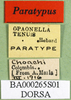 CollectionObject 1566286; 4fbf7cc6-2617-499e-bc7b-668c9088e2dc: labels (paratype). (CollectionObject).