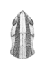Amphitornus coloradus coloradus (Thomas, 1873): Pl. III, Fig. 11a. male head and pronotum, dorsal view (Amphitornus bicolor). (Otu).