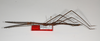 CollectionObject 1563596; 6a77487a-a385-44fa-8b21-42bbf8c1d7a1: copyright ZMHB, Berlin. male, lateral view (paratype). (CollectionObject).;CollectionObject 1563597; ba3a216b-18f7-4ea6-b2d5-cd47f40cb2b5: copyright ZMHB, Berlin. male, lateral view (paratype). (CollectionObject).