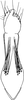 Anal tube processes: !! display not done !! on Zygina (Zygina) suavis Rey, 1891: Anal tube processes. (Observation).