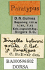 CollectionObject 1581783; 0ef340c0-12db-447c-aa59-946a90236527: labels (paratype). (CollectionObject).