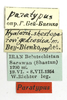 CollectionObject 1591616; 30ff6869-3781-4b8c-882d-91177fe45323: labels (paratype). (CollectionObject).