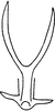 Aedeagus, ventral view on Edwardsiana soror (Linnavuori, 1950): Aedeagus, ventral view (after Anufriev). (Observation).