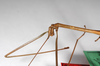 CollectionObject 1558347; 233e2e3a-59b8-4308-92ca-eb7f4328a712: copyright ZMHB, Berlin. male: head & thorax, lateral view (holotype). (CollectionObject).