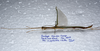 CollectionObject 1576312; 684613af-9313-4c96-9979-e61ce3a32706: copyright SPM, Kinabalu. female, lateral view (paratype). (CollectionObject).