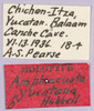 CollectionObject 1499408; 97247681-0d79-43b6-9c83-8e2b6533004e: labels (holotype). (CollectionObject).