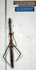CollectionObject 1561788; NMW 352, 723ae582-b0b2-4b64-a607-1ebe1f1854c6: copyright NMW, Vienna. female (holotype). (CollectionObject).