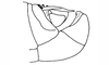 Leptopteracris nigra Carbonell & Descamps, 1978: Fig. 15. Mâle, extrémité abdminale de profil/ Male, end of abdomen (lateral view). (Otu).