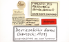 CollectionObject 1521831; 20042116-7489-4a06-a25c-2fbe6facdcac: labels (holotype). (CollectionObject).