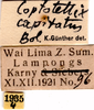 CollectionObject 1505086; 80436e9d-a4c6-4e78-aaf0-67b61c64265f: labels. (CollectionObject).