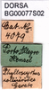 CollectionObject 1502125; 9b507810-3dcb-4450-baec-0c8deec3e700: labels. (CollectionObject).