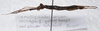 CollectionObject 1584694; f753e7ad-15e5-48b8-a039-6ff775f90422: (CollectionObject).