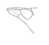 Pseudomitraria pontificalis (Rehn, 1904): Pl. 4, Fig. 2 (after paratype). female, lateral view of fastigium and eye. (Otu).