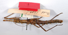 CollectionObject 1560941; fa6ef938-9022-4829-ad22-ac81f8398e79: copyright MNCN, Madrid. female, ventral view of synonym Cnipsus laeviventris (holotype). (CollectionObject).