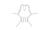 Cloephoracris disrupta Rowell, 1999: Fig. 8C. male fastigium, dorsal view. (Otu).