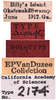 Other on Draeculacephala inscripta Van Duzee, 1915: (Observation).