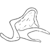 Anal tube processes: !! display not done !! on Oncopsis (Oncopsis) flavicollis (Linnaeus, 1761): Anal tube process. (Observation).