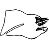 Pygofer, lateral view on Colladonus kirkaldyi (Ball, 1911): cotype. (Observation).