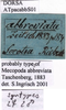 CollectionObject 1538288; f600f6df-45f8-47ea-b570-7efadac71859: labels (syntype). (CollectionObject).