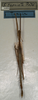 CollectionObject 1562035; 90e092ac-177e-4ba6-9c6b-c523adc99de4: copyright NMW, Vienna. male of synonym Sipyloidea taeniata (syntype). (CollectionObject).