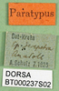 labels (paratype). Depicts CollectionObject 1501860; 9a3715fe-ec85-48f5-962c-74b742439904, a CollectionObject.