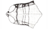 Baeacris peniana (Ronderos, 1992): Fig. 17. female, head and pronotum, dorsal view. (Otu).