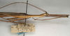 CollectionObject 1562036; NMW 1083, 0b312e12-9aa3-479c-8abf-4349a60355c7: copyright NMW, Vienna. male of synonym Sipyloidea taeniata: head and thorax, lateral view (syntype). (CollectionObject).