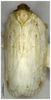 Habitus, dorsal view on Catonidia lii Chen & He, 2009: (Observation).
