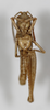 CollectionObject 1528779; 8db1dfe7-2def-47eb-9d84-d01999b68e5d: male, ventral view (holotype). (CollectionObject).