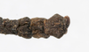 CollectionObject 1557781; f4425a73-ba55-47d7-b674-4484d3aec07a: copyright MNHG, Geneva. male: end of abdomen, dorsal view (holotype). (CollectionObject).