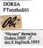 CollectionObject 1572409; b45841bd-b170-4c4b-aa5d-0e12b4390fe1: labels. (CollectionObject).