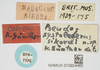 CollectionObject 1584225; 6675ac49-edb2-4f79-ba12-67883e069a23, NHMUK010924465: labels (syntype). (CollectionObject).