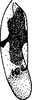Forewing on Empoa (Empoa) scripta (McAtee, 1919): Forewing. (Observation).