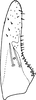 Subgenital plate: !! display not done !! on Salka Dworakowska, 1972: Subgenital plate (S. nigricans Mats.). (Observation).