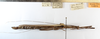 CollectionObject 1560825; NMW 175''''', 8eb1b982-0a25-469d-b520-71ddac92697b: copyright NHMW, Vienna. female, lateral view of Paraphasma marginale (paralectotype). (CollectionObject).