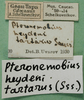 CollectionObject 1502076; f99729d5-ee3c-46b0-ab76-a4c96738e6bd: labels. (CollectionObject).