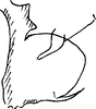Pygofer, lateral view on Asymmetrasca kishtwarensis (Sharma, 1984) now Asymmetrasca kaicola (Dworakowska, 1982): Genital capsule, lateral view. (Observation).