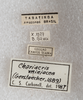 CollectionObject 1575504; 8d80f759-f77f-4108-b970-647c6c1bc884: labels. (CollectionObject).
