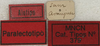 CollectionObject 1536029; b3cf20bd-13d5-46cb-952d-660211855d4f: labels (paralectotype). (CollectionObject).